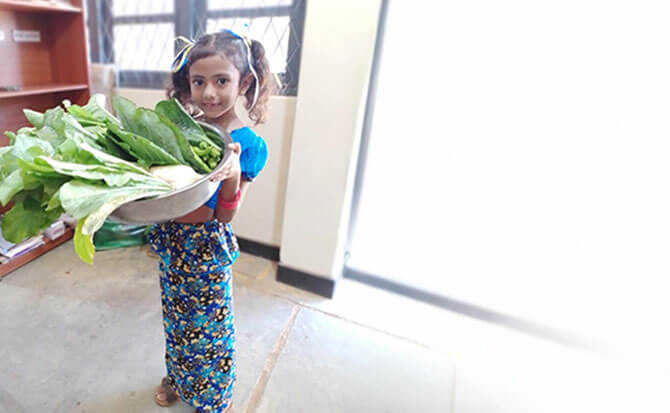 supoort_donate_670x413